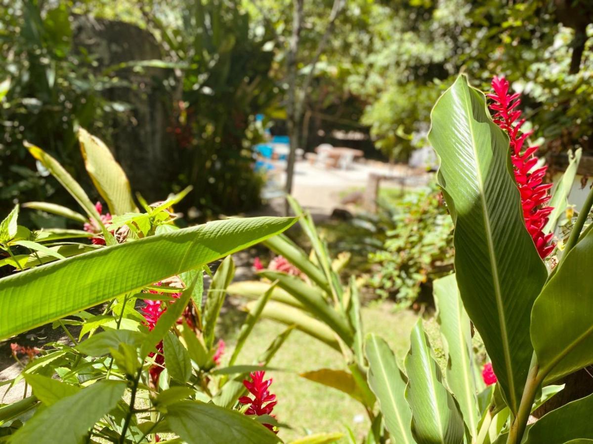 Casa De Despojada * Ilhabela