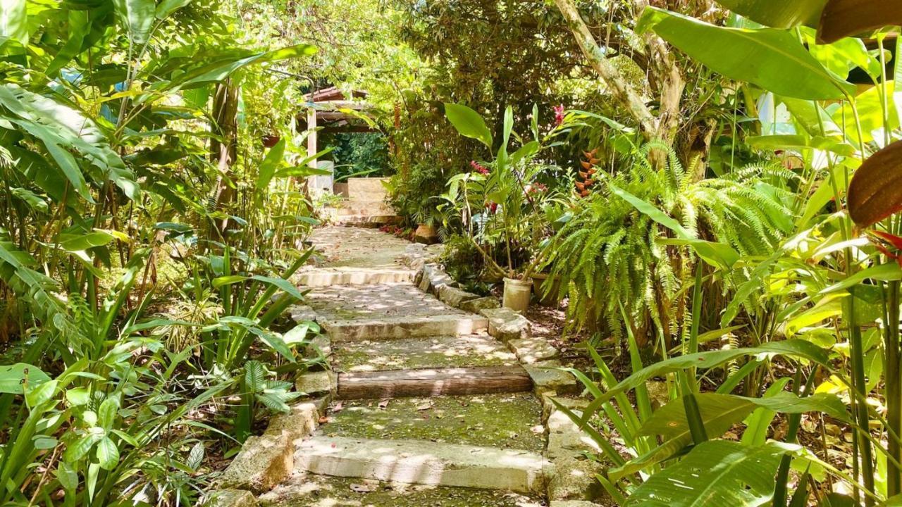 Casa Raizes Do Mar